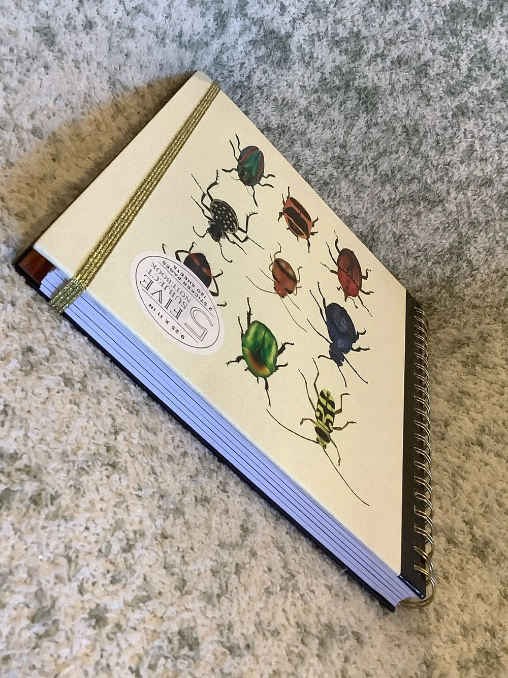 James Burke Collection Colorful Bugs Five Subject Notebook NWT 9.25x11” 120 page